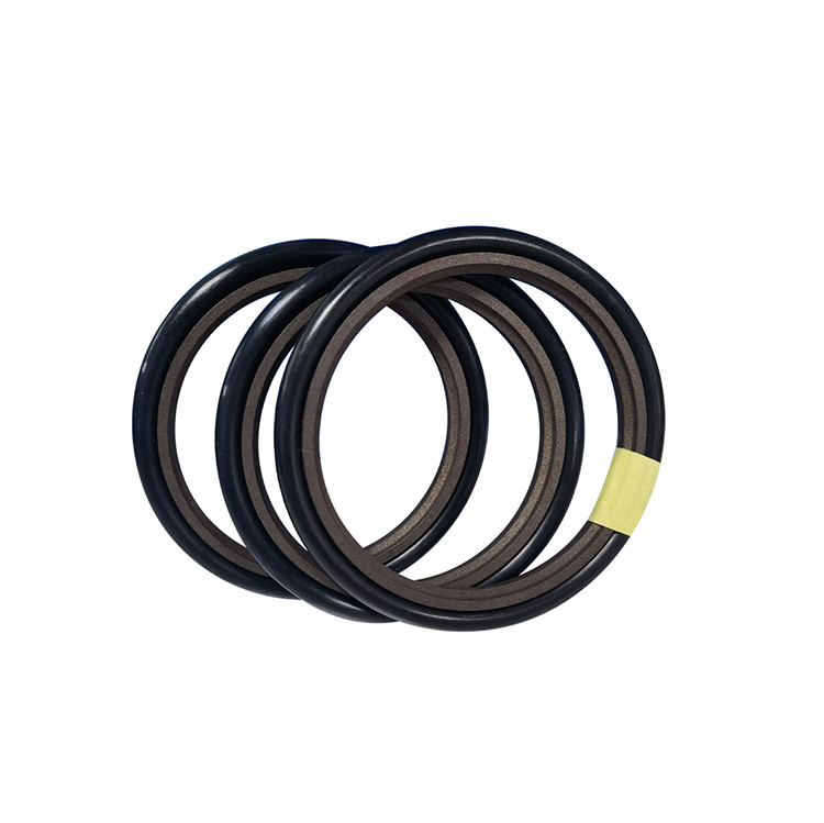 孔用旋轉格萊圈