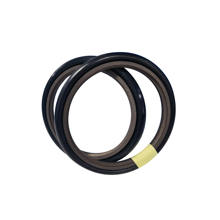 孔用旋轉格萊圈